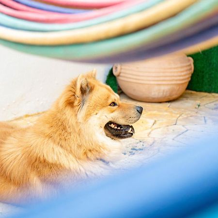 Buenosdias Izamal Bed & Breakfast エクステリア 写真
