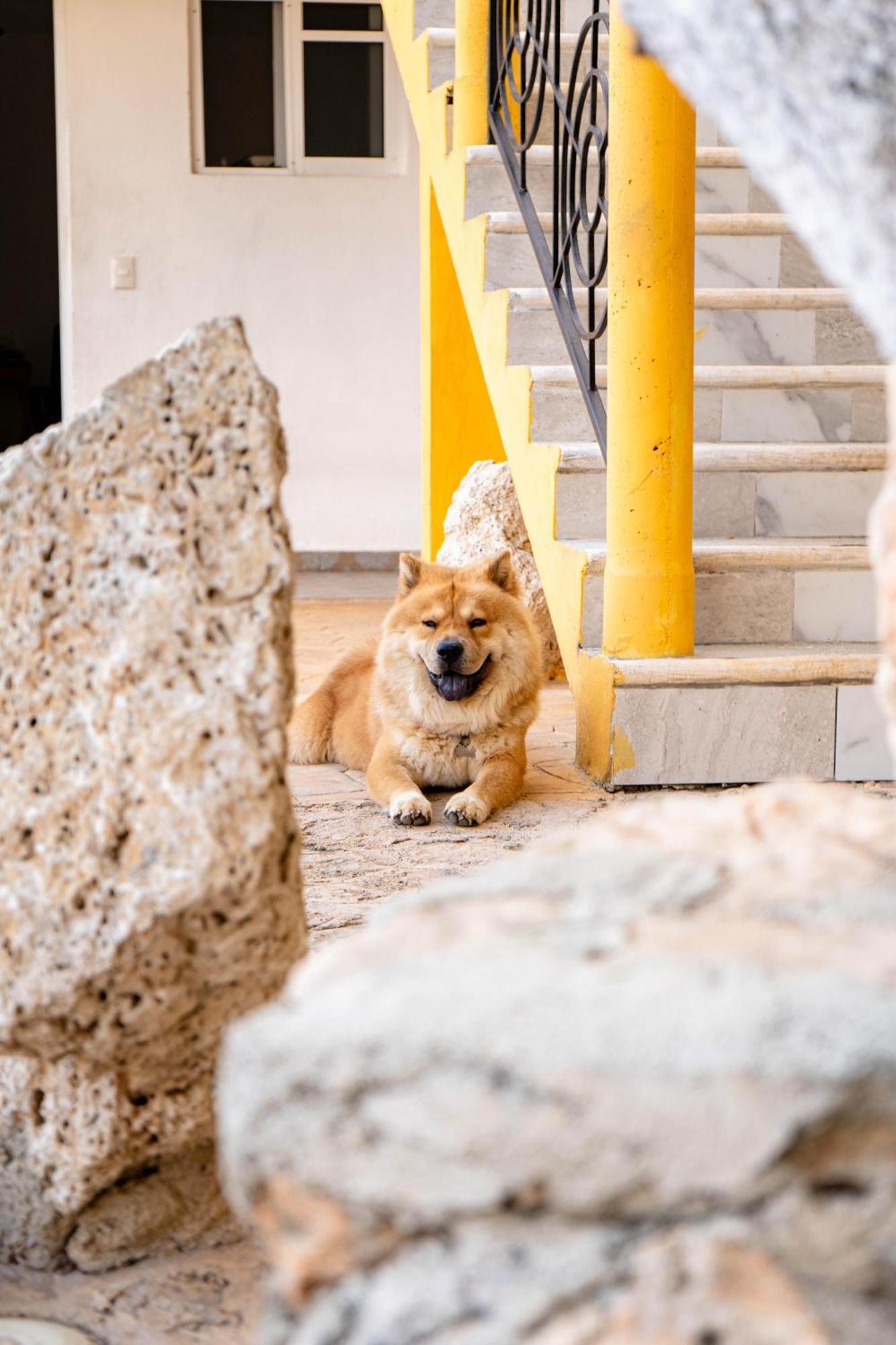 Buenosdias Izamal Bed & Breakfast エクステリア 写真
